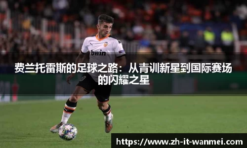 费兰托雷斯的足球之路：从青训新星到国际赛场的闪耀之星